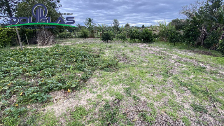 Imagem Casa com 3 Quartos à Venda, 1.200 m² em Viamão Imagem Casa com 3 Quartos à Venda, 1.200 m² em Viamão