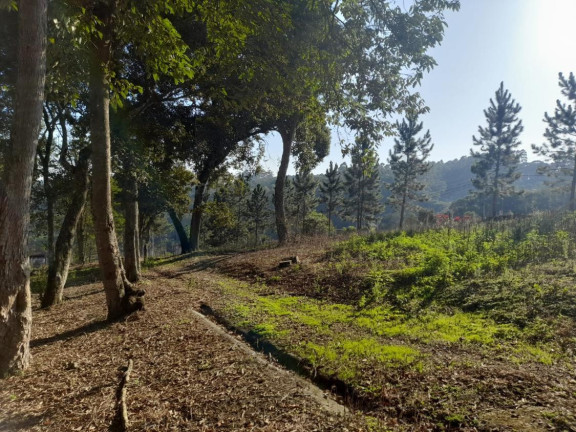 Imagem Chácara à Venda, 5.850 m² em Centro - Ibiúna