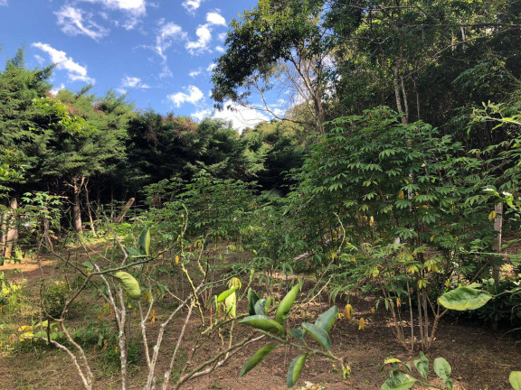 Imagem Chácara com 2 Quartos à Venda, 1.006 m² em Buquirinha - São José Dos Campos Imagem Chácara com 2 Quartos à Venda, 1.006 m² em Buquirinha - São José Dos Campos