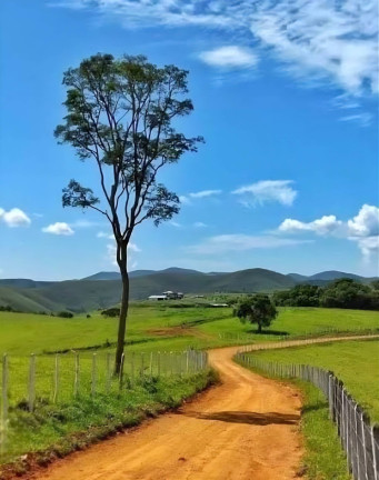 Imagem Chácara à Venda, 183 m² em Ponta Porã Imagem Chácara à Venda, 183 m² em Ponta Porã