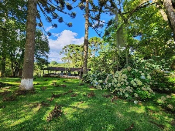 Imagem Imóvel com 3 Quartos à Venda, 51.000 m² em Campo Largo Da Roseira - São José Dos Pinhais Imagem Imóvel com 3 Quartos à Venda, 51.000 m² em Campo Largo Da Roseira - São José Dos Pinhais