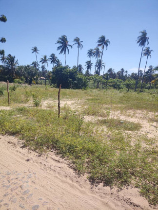 Imagem Terreno à Venda, 5.000 m² em Icaraizinho De Amontada - Amontada
