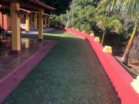 Imagem Chácara com 3 Quartos à Venda, 48 m² em Pinhalzinho Imagem Chácara com 3 Quartos à Venda, 48 m² em Pinhalzinho