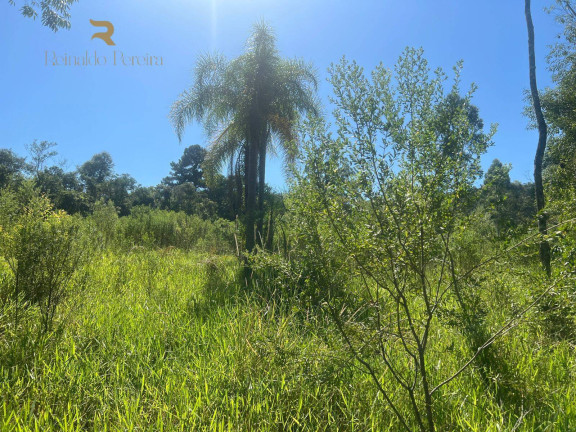 Imagem Chácara com 2 Quartos à Venda, 37.000 m² em Pinheirinho - Capela De Santana Imagem Chácara com 2 Quartos à Venda, 37.000 m² em Pinheirinho - Capela De Santana