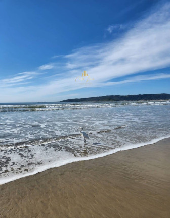 Imagem Sala Comercial à Venda,  em Balneário Ponta Do Papagaio - Palhoça
