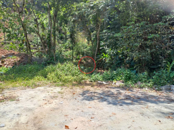 Imagem Terreno à Venda, 420 m² em Boiçucanga - São Sebastião Imagem Terreno à Venda, 420 m² em Boiçucanga - São Sebastião