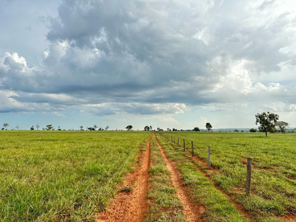 Imagem Fazenda à Venda, 5.793 m² em Rural - Nova Andradina