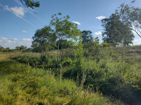 Imagem Terreno à Venda, 20.000 m² em Alto Perequê - Arroio Do Padre