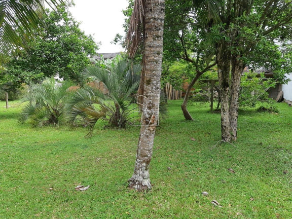 Imagem Imóvel com 2 Quartos para Temporada, em Ponta Das Canas - Florianópolis Imagem Imóvel com 2 Quartos para Temporada, em Ponta Das Canas - Florianópolis