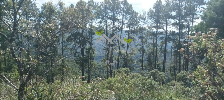 Imagem Terreno à Venda, 5 m² em Cidade Do Sol Ii - Campos Do Jordão Imagem Terreno à Venda, 5 m² em Cidade Do Sol Ii - Campos Do Jordão