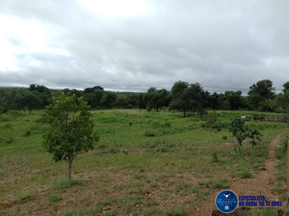 Imagem Fazenda à Venda, 40 m² em Zona Rural - Aragarças Imagem Fazenda à Venda, 40 m² em Zona Rural - Aragarças