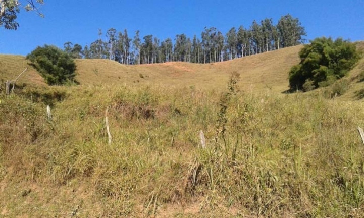 Imagem Chácara com 2 Quartos à Venda, 10 m² em Paiol - Guaratinguetá Imagem Chácara com 2 Quartos à Venda, 10 m² em Paiol - Guaratinguetá