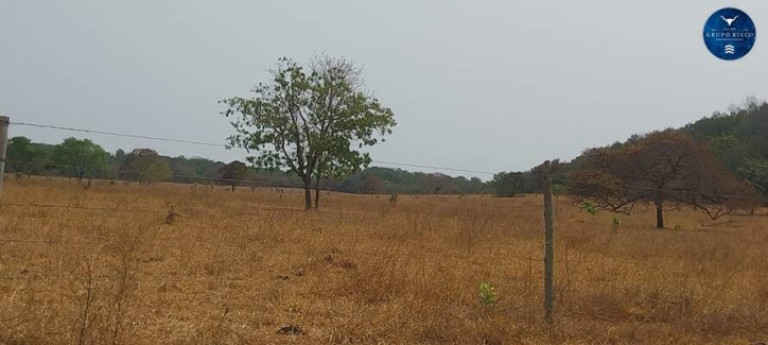 Imagem Fazenda à Venda, 90 m² em Zona Rural - General Carneiro Imagem Fazenda à Venda, 90 m² em Zona Rural - General Carneiro