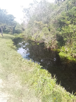 Imagem Chácara com 2 Quartos à Venda, 3.900 m² em Estãncia Rio Negro - Itanhaém