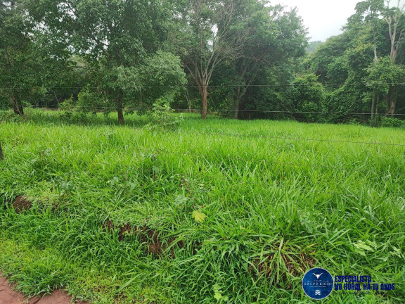Imagem Chácara à Venda, 2 m² em Zona Rural - Itauçu Imagem Chácara à Venda, 2 m² em Zona Rural - Itauçu