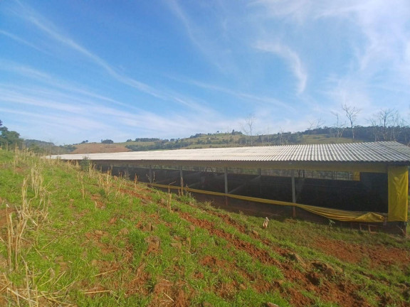 Imagem Terreno à Venda, 73.000 m² em Interior - Concórdia Imagem Terreno à Venda, 73.000 m² em Interior - Concórdia