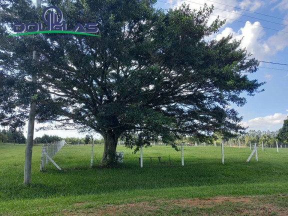 Imagem Terreno à Venda, em Viamão Imagem Terreno à Venda, em Viamão