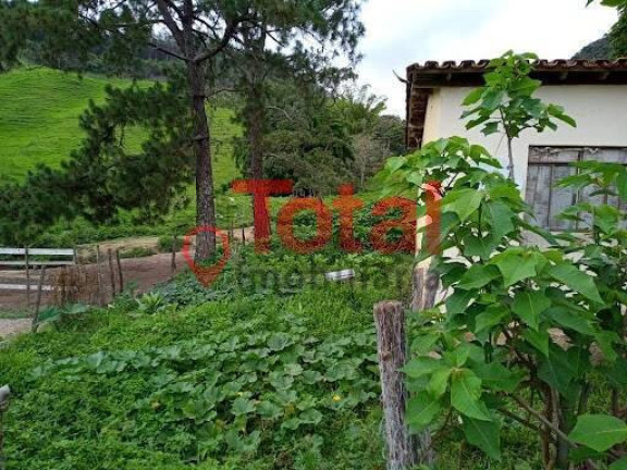 Imagem Chácara com 3 Quartos à Venda, 280 m² em Sn - São Domingos Do Prata