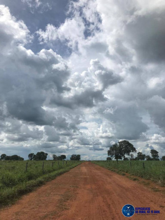 Imagem Fazenda à Venda, 988 m² em Zona Rural - Peixe Imagem Fazenda à Venda, 988 m² em Zona Rural - Peixe