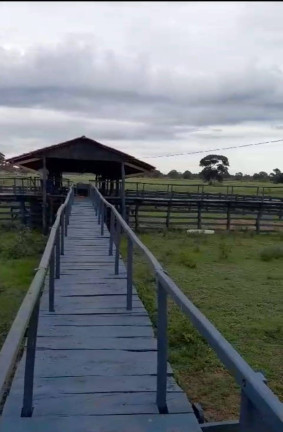 Imagem Fazenda à Venda, 8 m² em Poconé Imagem Fazenda à Venda, 8 m² em Poconé
