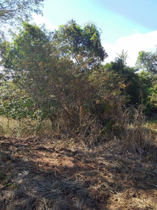 Imagem Imóvel à Venda, em Aruanã - Aruanã Imagem Imóvel à Venda, em Aruanã - Aruanã