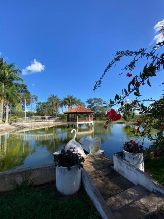 Imagem Chácara com 4 Quartos à Venda, 160.000 m² em Garavelo - Abadia De Goiás