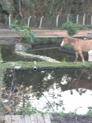 Imagem Chácara com 1 Quarto à Venda, em Jardim Botucatu - São Paulo Imagem Chácara com 1 Quarto à Venda, em Jardim Botucatu - São Paulo