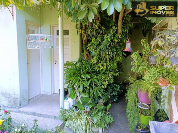 Imagem Casa com 4 Quartos à Venda, 344 m² em Centro - Pelotas
