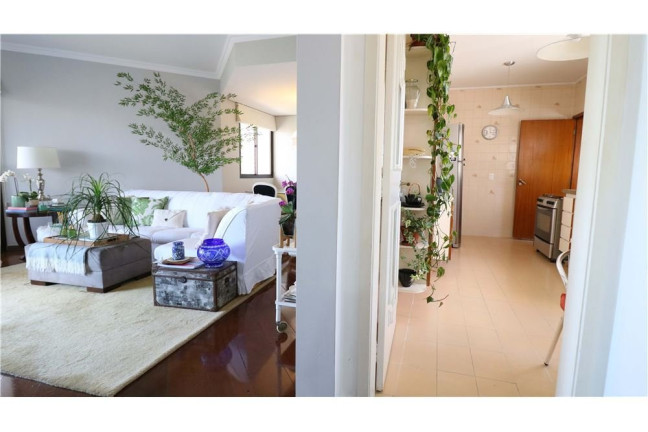Imagem Apartamento com 5 Quartos à Venda, 170 m² em Morumbi - São Paulo Imagem Apartamento com 5 Quartos à Venda, 170 m² em Morumbi - São Paulo