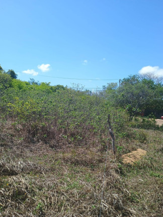 Imagem Terreno à Venda, 1.000 m² em Centro De Tibau Do Sul - Tibau Do Sul Imagem Terreno à Venda, 1.000 m² em Centro De Tibau Do Sul - Tibau Do Sul