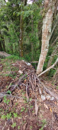 Imagem Terreno à Venda, 1 m² em Atibaia Imagem Terreno à Venda, 1 m² em Atibaia