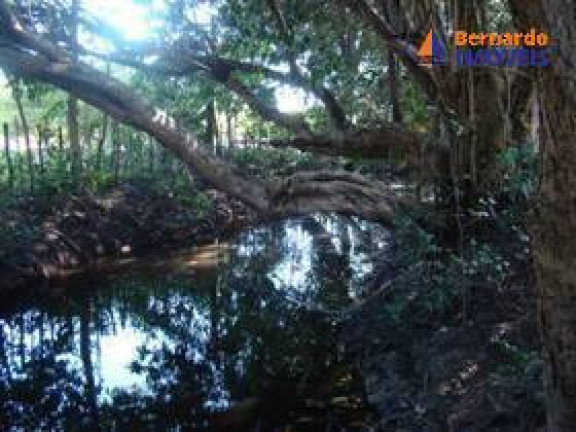 Imagem Chácara com 3 Quartos à Venda, 170 m² em Sitio Prata - Cascavel Imagem Chácara com 3 Quartos à Venda, 170 m² em Sitio Prata - Cascavel