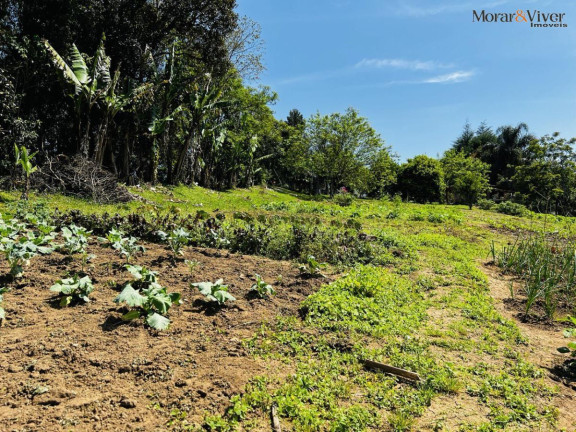 Imagem Chácara à Venda, 6.300 m² em Zona Rural - Tijucas Do Sul