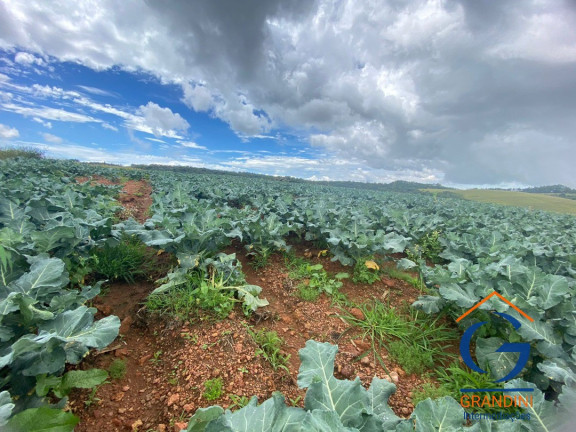Imagem Imóvel com 3 Quartos à Venda, em Minas Gerais - Munhoz Imagem Imóvel com 3 Quartos à Venda, em Minas Gerais - Munhoz
