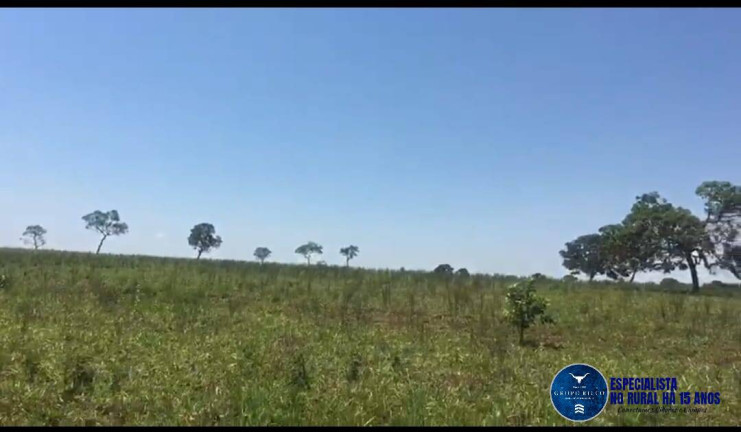 Imagem Fazenda à Venda, 43 m² em Zona Rural - Quirinópolis Imagem Fazenda à Venda, 43 m² em Zona Rural - Quirinópolis