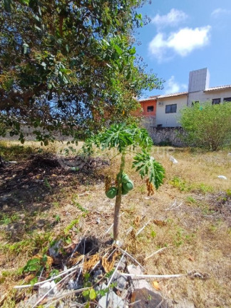 Imagem Terreno à Venda, 765 m² em Ponta Negra - Natal Imagem Terreno à Venda, 765 m² em Ponta Negra - Natal