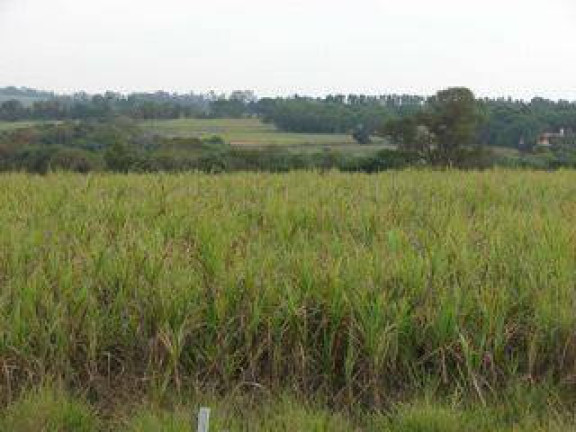 Imagem Terreno à Venda, 6 m² em Centro - Cesário Lange Imagem Terreno à Venda, 6 m² em Centro - Cesário Lange