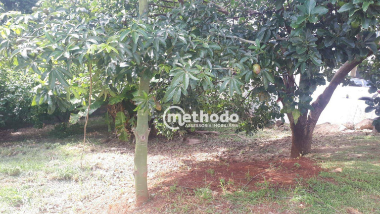 Imagem Terreno à Venda, 250 m² em Jardim Myrian Moreira Da Costa - Campinas Imagem Terreno à Venda, 250 m² em Jardim Myrian Moreira Da Costa - Campinas