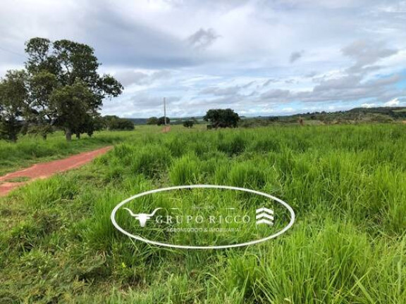 Imagem Fazenda à Venda, em Zona Rural - Guiratinga Imagem Fazenda à Venda, em Zona Rural - Guiratinga
