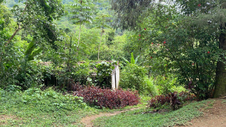Imagem Chácara com 1 Quarto à Venda, 60 m² em Igrejinha - Itariri Imagem Chácara com 1 Quarto à Venda, 60 m² em Igrejinha - Itariri