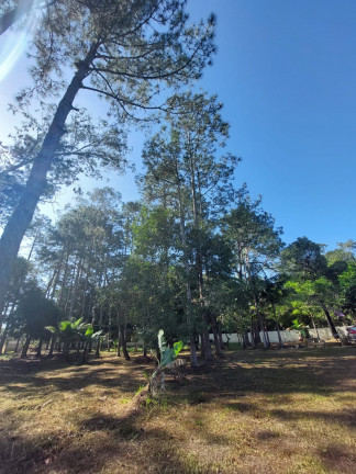 Imóvel com 3 Quartos à Venda,  em São Fernando - Itanhaém