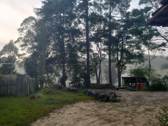 Imagem Chácara com 3 Quartos à Venda, 120 m² em Palmeiras - Natividade Da Serra Imagem Chácara com 3 Quartos à Venda, 120 m² em Palmeiras - Natividade Da Serra