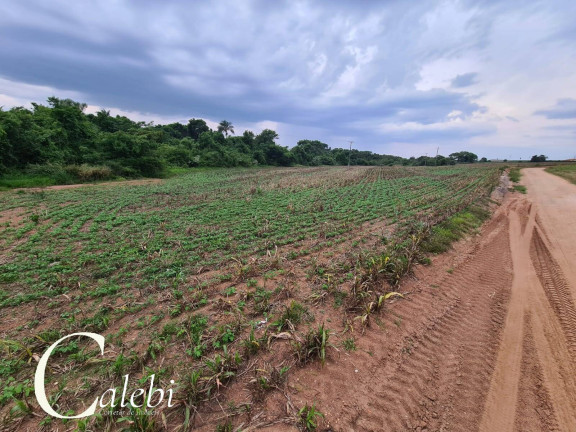 Imagem Chácara à Venda, 7 m² em área Rural De Conchal - Conchal Imagem Chácara à Venda, 7 m² em área Rural De Conchal - Conchal