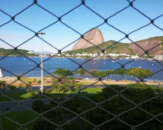 Imagem Imóvel com 4 Quartos à Venda, 290 m² em Flamengo - Rio De Janeiro Imagem Imóvel com 4 Quartos à Venda, 290 m² em Flamengo - Rio De Janeiro