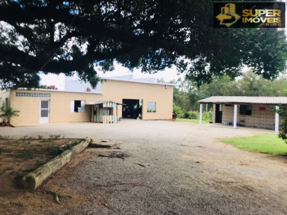 Imagem Imóvel com 7 Quartos à Venda, 120.000 m² em Monte Bonito - Pelotas Imagem Imóvel com 7 Quartos à Venda, 120.000 m² em Monte Bonito - Pelotas