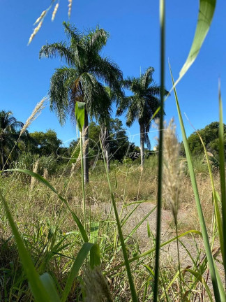 Imagem Terreno à Venda, 17.550 m² em Jardim Limoeiro - Serra