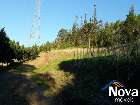 Imagem Imóvel à Venda, 60.000 m² em Linha Riachuelo - Nova Petrópolis Imagem Imóvel à Venda, 60.000 m² em Linha Riachuelo - Nova Petrópolis