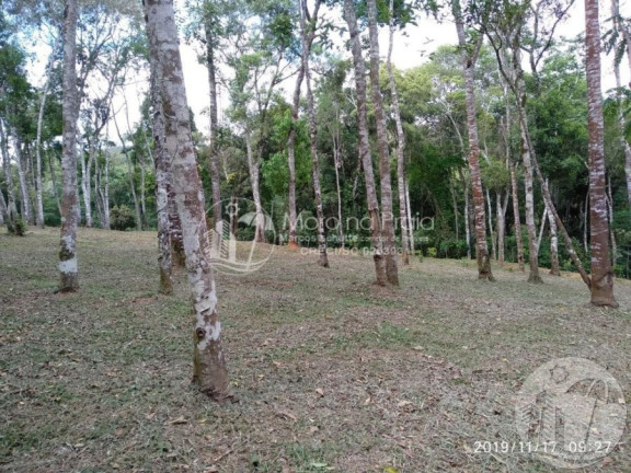 Imagem Imóvel com 3 Quartos à Venda, 2 m² em Belo Horizonte - Agronômica Imagem Imóvel com 3 Quartos à Venda, 2 m² em Belo Horizonte - Agronômica