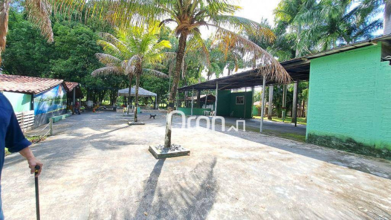 Imagem Chácara com 4 Quartos à Venda, 46.000 m² em Trindade - Trindade Imagem Chácara com 4 Quartos à Venda, 46.000 m² em Trindade - Trindade