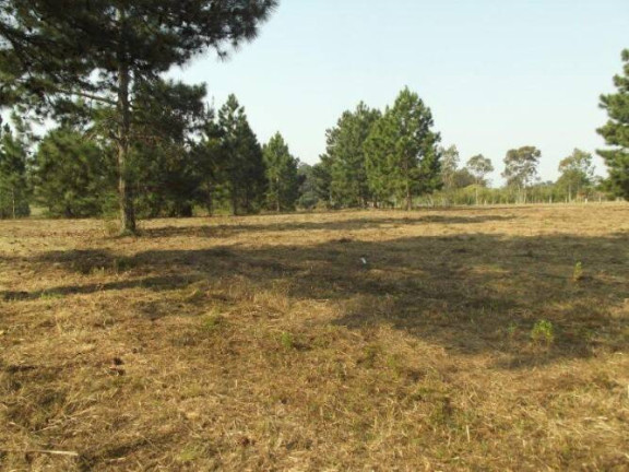 Imagem Terreno à Venda, 80.000 m² em águas Claras - Viamão